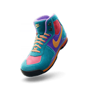 Nike Air Baltoro