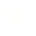 Jurassic Jump