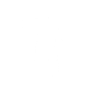 Nanite Flex