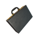 The Briefcase