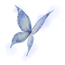 Lady's Frostwings