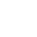 Bodies