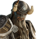 Nord Warrior