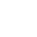 Blank
