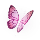 Olivia's Butterfly Wings