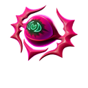 Ocular