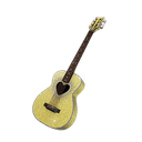 SC Guitar
