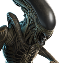 Xenomorph (Alien: Earth)
