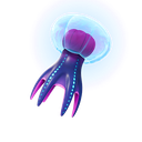 Moon Jelly