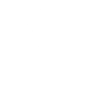 Disc Spinner