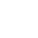 Paddle Royale
