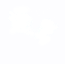 Perfect Wings