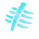 Spectral Spine