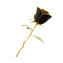 Rose of Avarice
