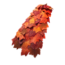 Autumn's Mantle