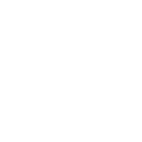 Shadow Play: Dog