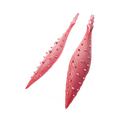 Poison Petals