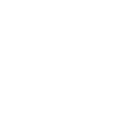 The Robot