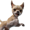Teacup Chi-Pup
