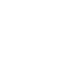 Segway Tour