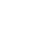 Burpee