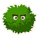 Bush