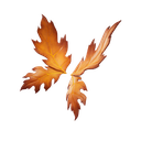 Oakworn Wings