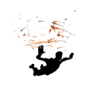 Sky Swimmers