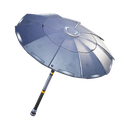 The Umbrella