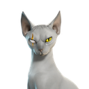 Meowdas Sphynx