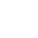 The Renegade