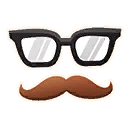 Disguise