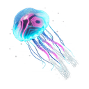 Neon Man O' War