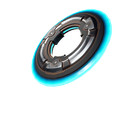 Fancy Flying Disc