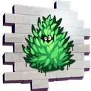 Bush Peek