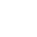 Stuntman