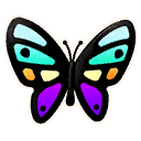 Rainbowfly