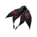 Moth Eye Wings