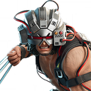 Weapon X