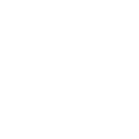 Fan Fervor