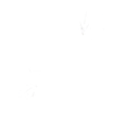 Tagger's Groove