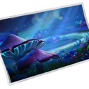 Niteshroom Valley