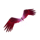 Eagle's Form