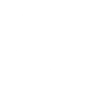 Bhangra Boogie