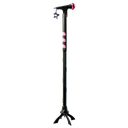 LISA's Classic Mic